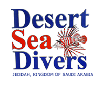 Desert Sea Divers